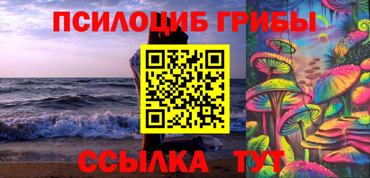 Псилоцибиновые грибы Psilocybe  как найти   Грозный  Вход с VPN 