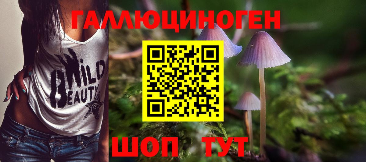 Псилоцибиновые грибы GOLDEN TEACHER Грозный
